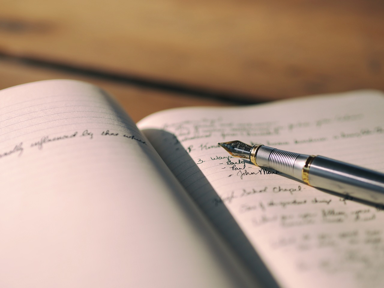 Diary: Dear Writer