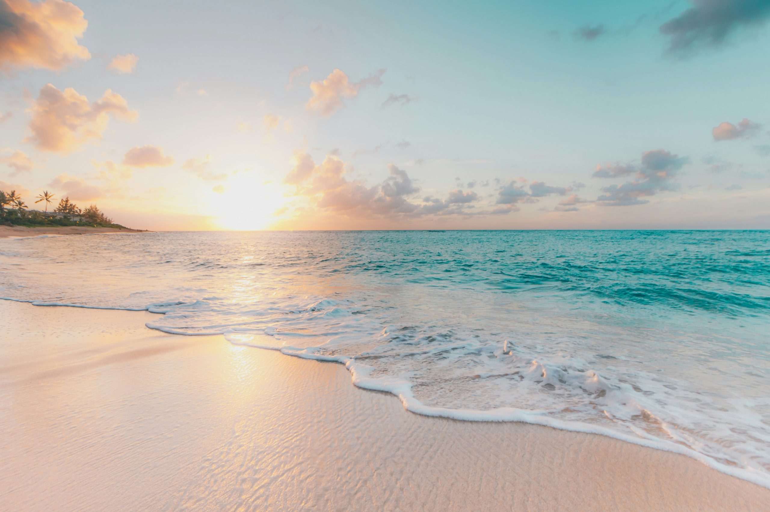 Ocean: A Heartful tale